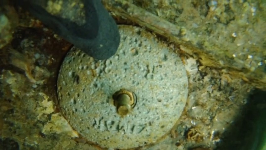 Zincs & anodes replacement, before service