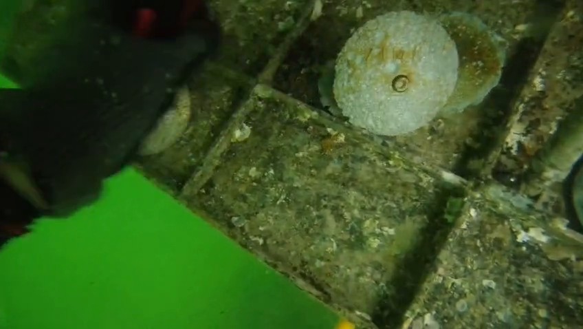 Zincs & anodes replacement, after service