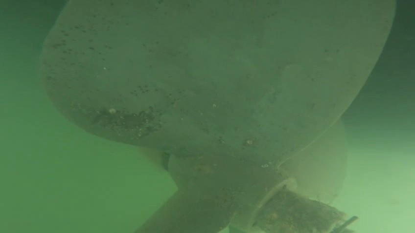 Boat 3: Bottom & hull cleaning, before service